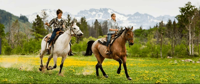 Confident plus-size woman riding Hockley a horse through a field with a smile on her face.